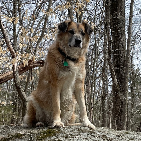 Show Flyer Please ❤️ for notification. - Picture 10 of 10